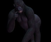 gorilla.png image 1024x768.png from sex gorilla pg download ap 420 com xxx