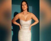 202112151711224377 sunny leone completes shooting for tamil horrorcomedy oh secvpf.gif from tamil actress leone x