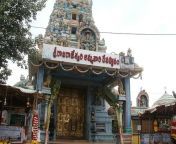 sri raja rajeswari temple jpgw500h 1s1 from nellor