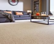living room carpet ideas elegant 10 benefits of having carpet for living room of living room carpet ideas.jpg from carpet