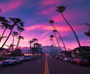 desktop wallpaper palms sunset pink sky miami florida cars and highway sky aesthetic pink sky lightning miami pink.jpg from miami sxy
