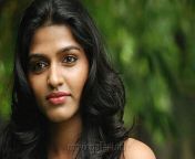 desktop wallpaper tamil actor full tamil actress background tamil actors thumbnail.jpg from tamil actress change xxxpappuwap com নায়িক