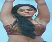 desktop wallpaper karthika nair tamil actress navel.jpg from tamil actress nair se