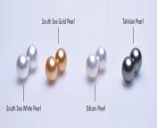 difference between edison pearl and tahitian pearl and south sea pearl 2175x jpgv1620886250 from south se