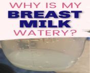 watery breast milk.jpg from myporn snap breast milk sex xxx com