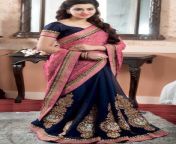 saree embroideries look slim.jpg from young slim wearing sari showing hot cleavage and navel mp4