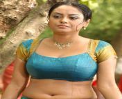 meenakshi stills south actress meenakshi photos e28093www indianmovieactress blogspot in 03.jpg from tamil actress sex meenakshi part nude