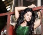 sneha8 jpgw144 from tamil actress senaga sex deol nude cock apu biswas sex video comhollywood actress angelina jolie