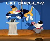 p21474118 b v13 aa.jpg from cat burglar stu
