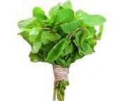 fresh mint leaves 1 bunch 600x600.jpg from pothina